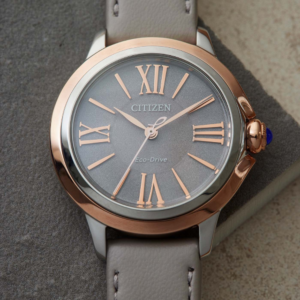 CITIZEN ŽENSKI SAT ECO-DRIVE EM1166-01Z modern | HETA 1892 Sarajevo