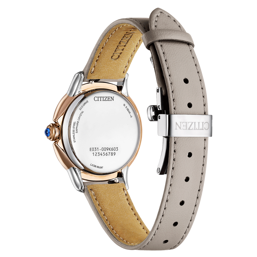 CITIZEN ŽENSKI SAT ECO-DRIVE EM1166-01Z remen | HETA 1892 Sarajevo