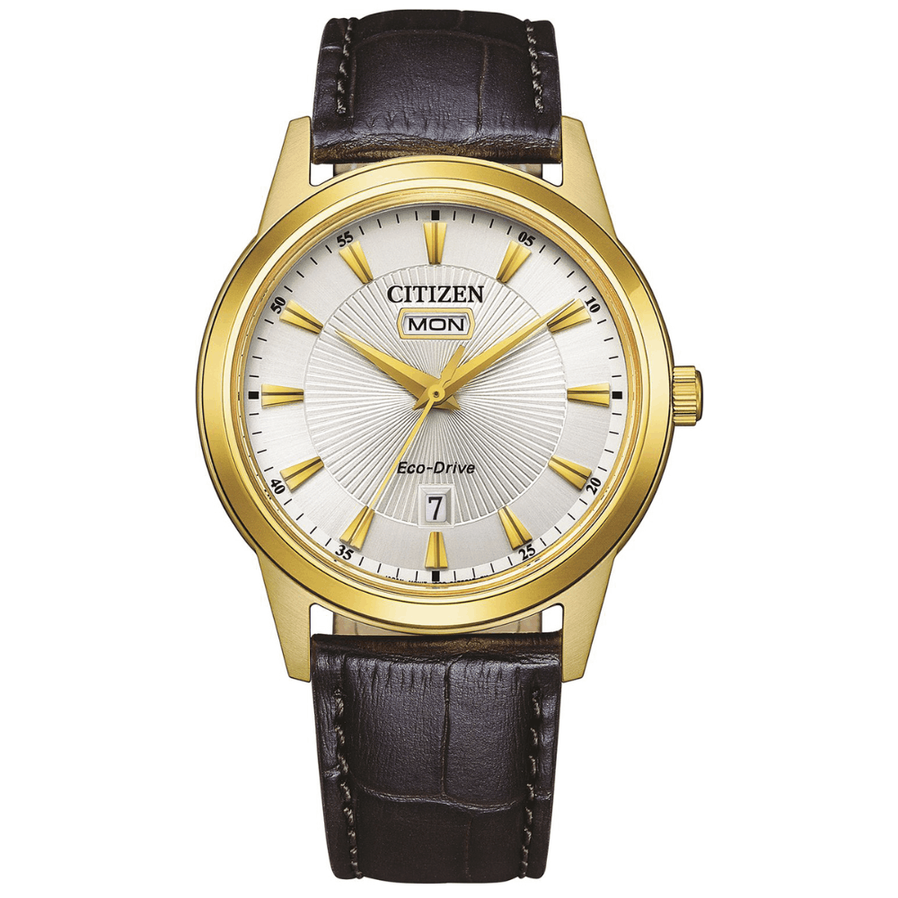 CITIZEN MUŠKI SAT ECO-DRIVE AW0102-13AC | HETA 1892 Sarajevo