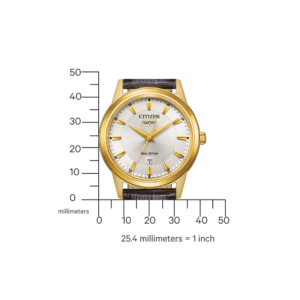 CITIZEN MUŠKI SAT ECO-DRIVE AW0102-13AC velicina | HETA 1892 Sarajevo