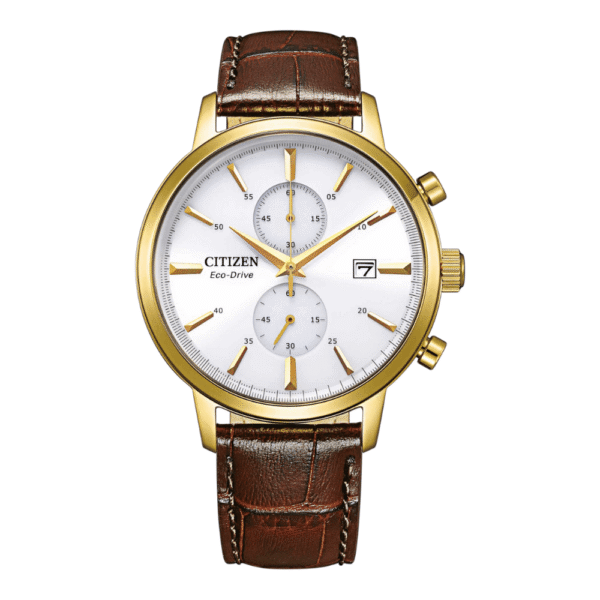 CITIZEN MUŠKI SAT CA7062-15A | HETA 1892 Sarajevo