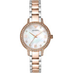 EMPORIO ARMANI ŽENSKI SAT AR11499 | HETA 1892 satovi i nakit Sarajevo