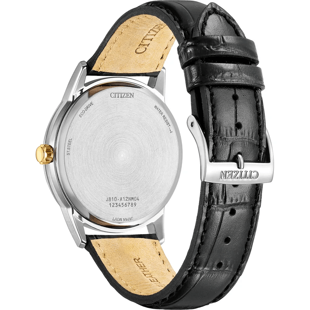 CITIZEN MUŠKI SAT ECO-DRIVE AW1784-16E remen | HETA 1892 satovi i nakit Sarajevo